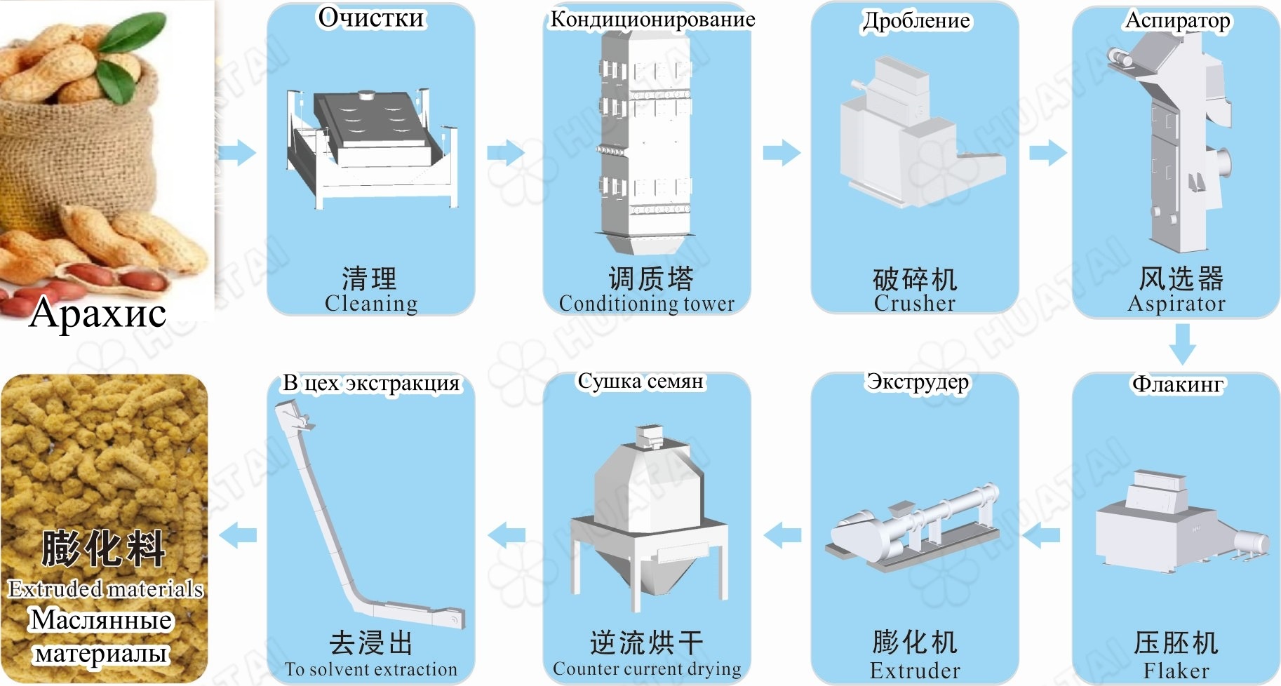 花生预处理.jpg